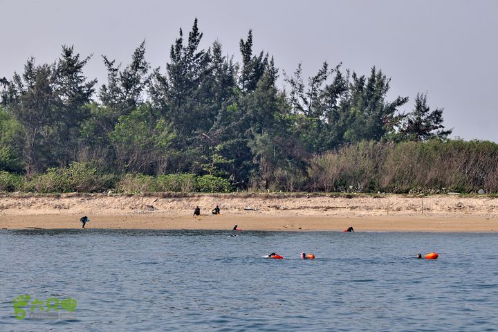 2013-12-26 横渡三亚湾东岛先头的五名已经登录，后面的紧跟上！