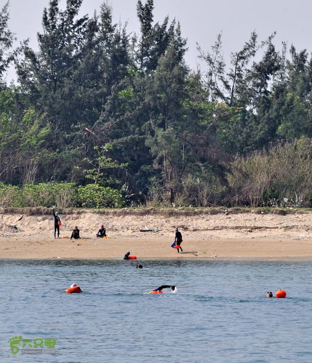 2013-12-26 横渡三亚湾东岛登陆了！ 格外兴奋！