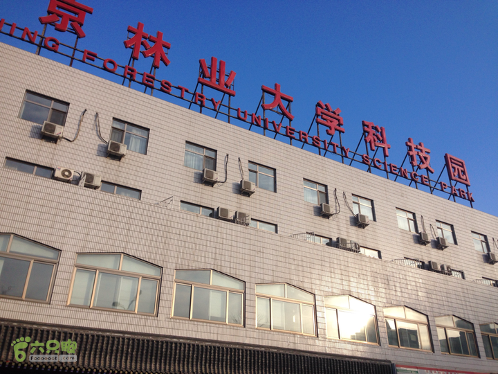 北京，你的下一站在哪游戏开始！北京林业大学