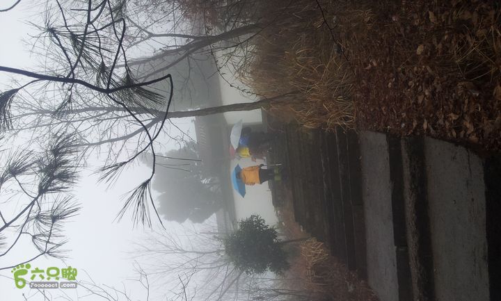 武义大岗岩20140111_133756