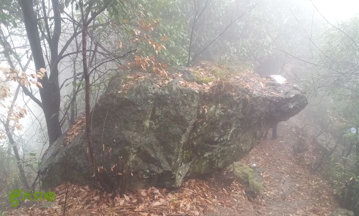 武义大岗岩20140111_134750