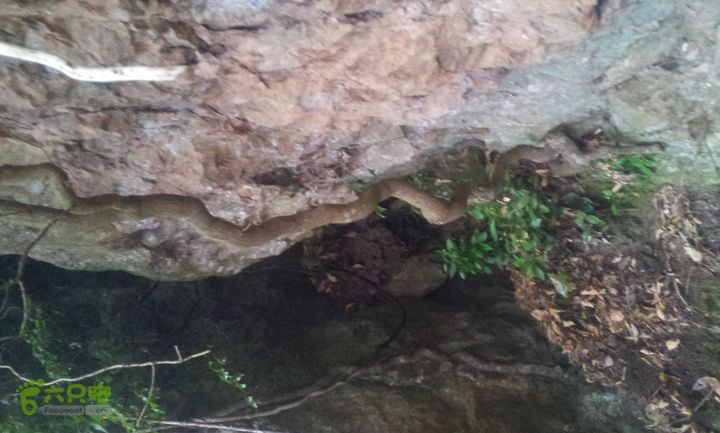 武义大岗岩20140111_135355