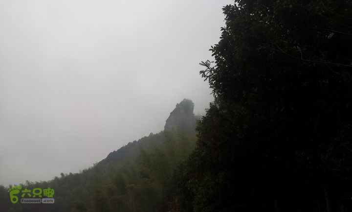 武义大岗岩20140111_141016