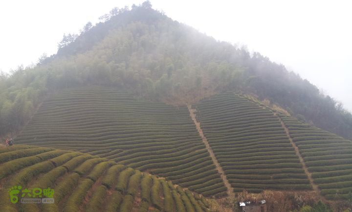 武义大岗岩20140111_141024