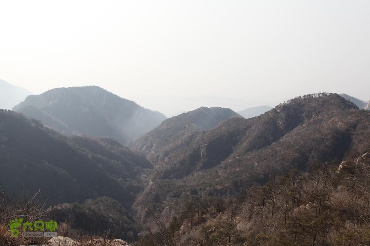 泰山拔山沟-水湾沟-风门-中山梁-龙傲山梁-三岔五沟IMG_7136