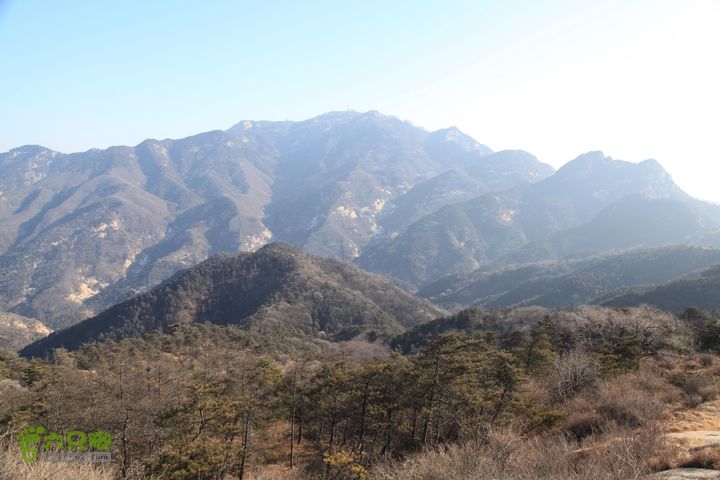 泰山拔山沟-水湾沟-风门-中山梁-龙傲山梁-三岔五沟IMG_7138
