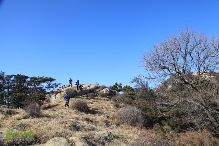 泰山拔山沟-水湾沟-风门-中山梁-龙傲山梁-三岔五沟IMG_7151