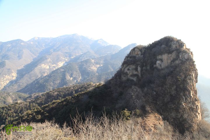 泰山拔山沟-水湾沟-风门-中山梁-龙傲山梁-三岔五沟IMG_7170--老鸽尖子