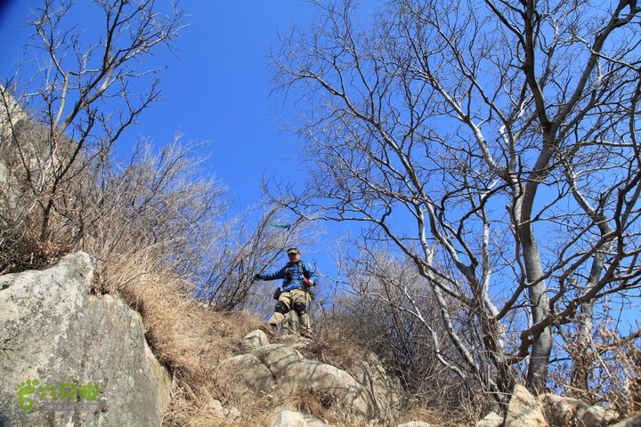 泰山拔山沟-水湾沟-风门-中山梁-龙傲山梁-三岔五沟IMG_7171