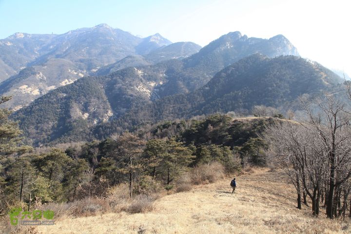 泰山拔山沟-水湾沟-风门-中山梁-龙傲山梁-三岔五沟IMG_7194