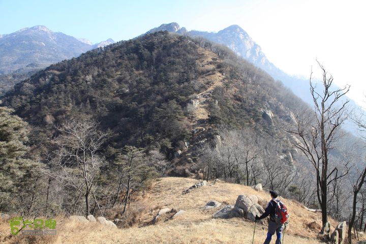 泰山拔山沟-水湾沟-风门-中山梁-龙傲山梁-三岔五沟翻过这座山峰就到龙蛟峰
