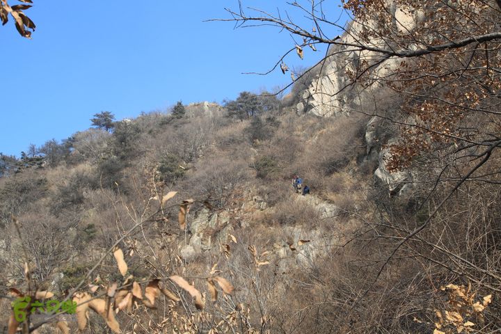 泰山拔山沟-水湾沟-风门-中山梁-龙傲山梁-三岔五沟从龙蛟峰垭口下到龙傲山梁