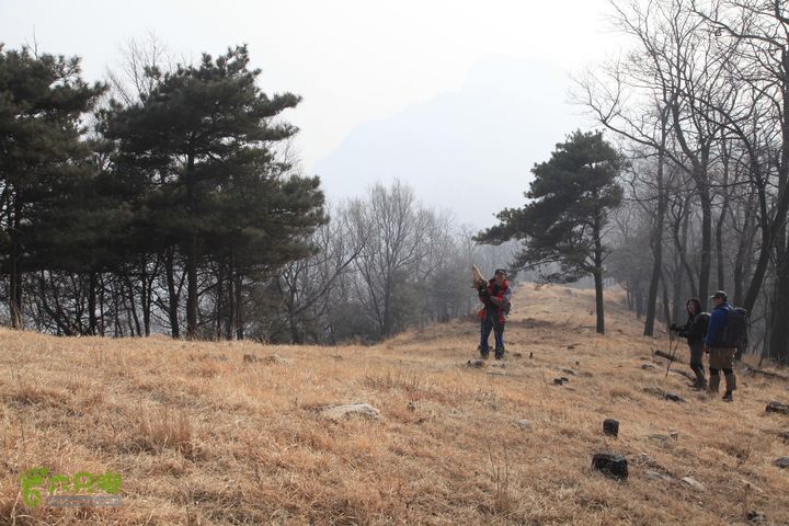 泰山拔山沟-水湾沟-风门-中山梁-龙傲山梁-三岔五沟IMG_7271
