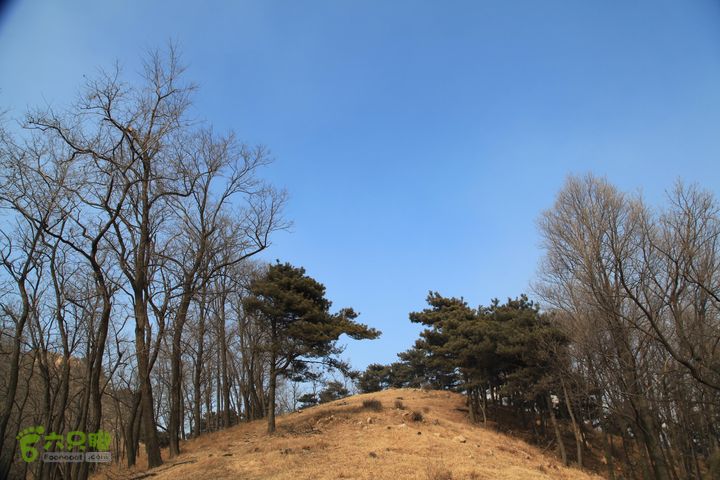 泰山拔山沟-水湾沟-风门-中山梁-龙傲山梁-三岔五沟IMG_7274