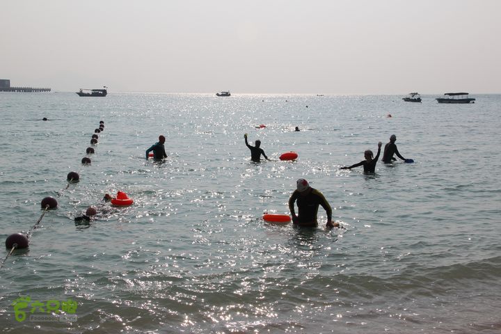 2014-01-18 三亚“大小东海穿越横渡”144