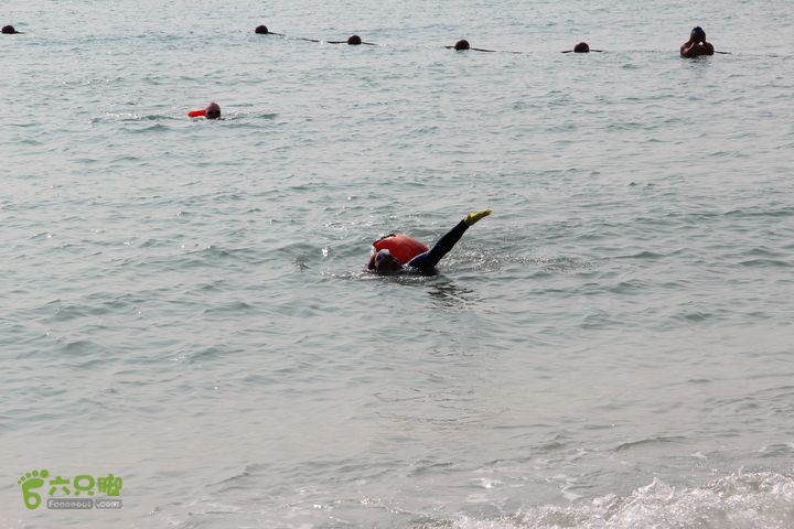 2014-01-18 三亚“大小东海穿越横渡”151