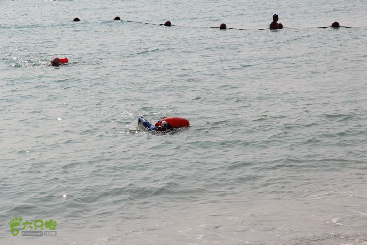 2014-01-18 三亚“大小东海穿越横渡”152