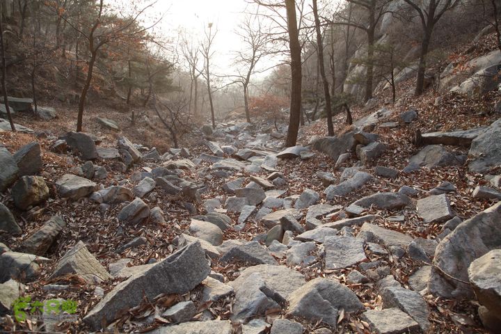 泰山拔山沟-水湾沟-风门-中山梁-龙傲山梁-三岔五沟三岔五沟