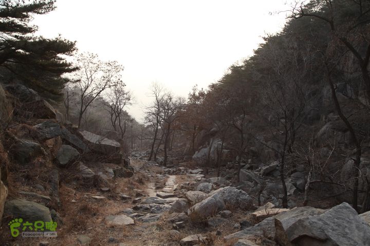 泰山拔山沟-水湾沟-风门-中山梁-龙傲山梁-三岔五沟IMG_7377