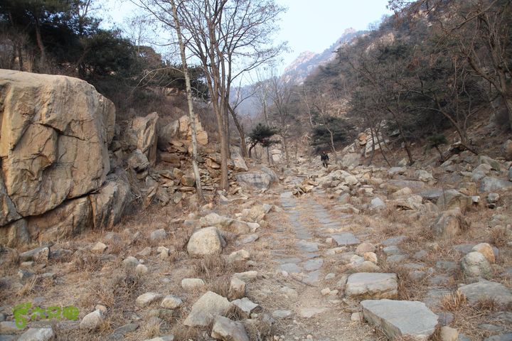 泰山拔山沟-水湾沟-风门-中山梁-龙傲山梁-三岔五沟IMG_7379