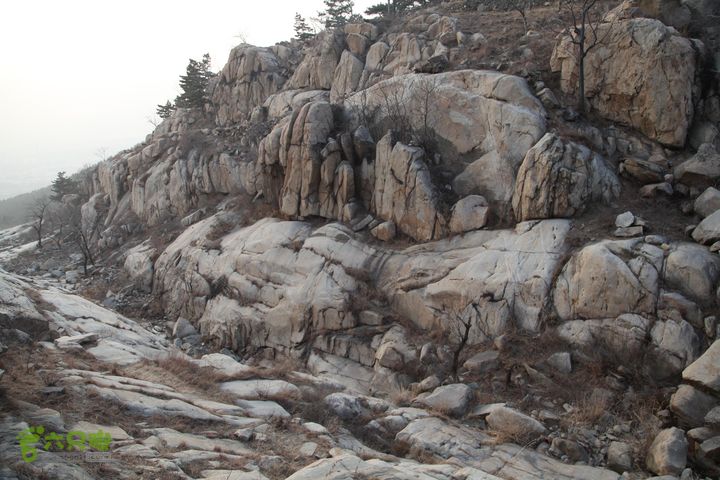 泰山拔山沟-水湾沟-风门-中山梁-龙傲山梁-三岔五沟IMG_7384