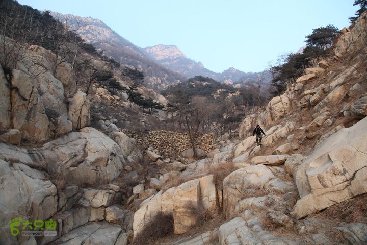 泰山拔山沟-水湾沟-风门-中山梁-龙傲山梁-三岔五沟IMG_7387