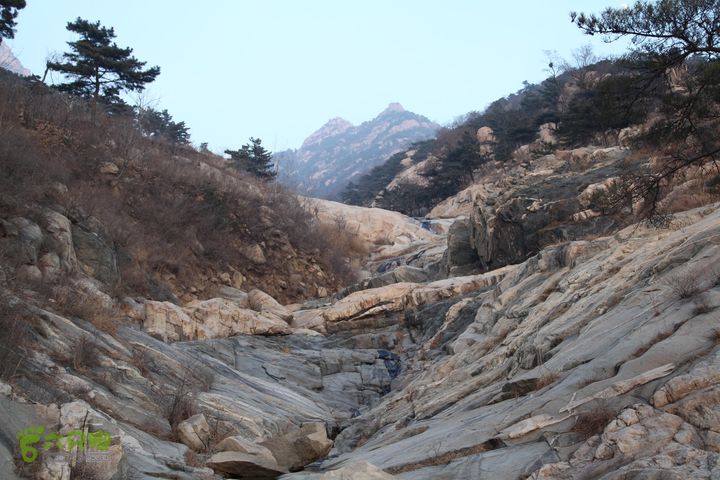 泰山拔山沟-水湾沟-风门-中山梁-龙傲山梁-三岔五沟IMG_7403