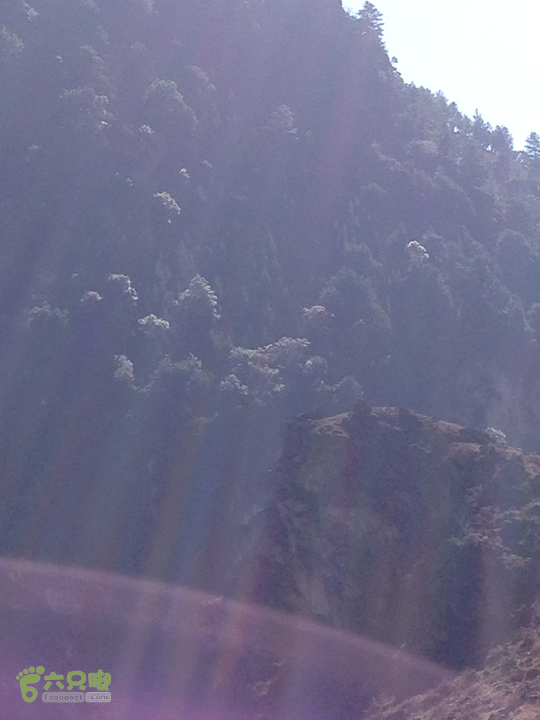 金铜盆山之行2014-01-25 14:47:51