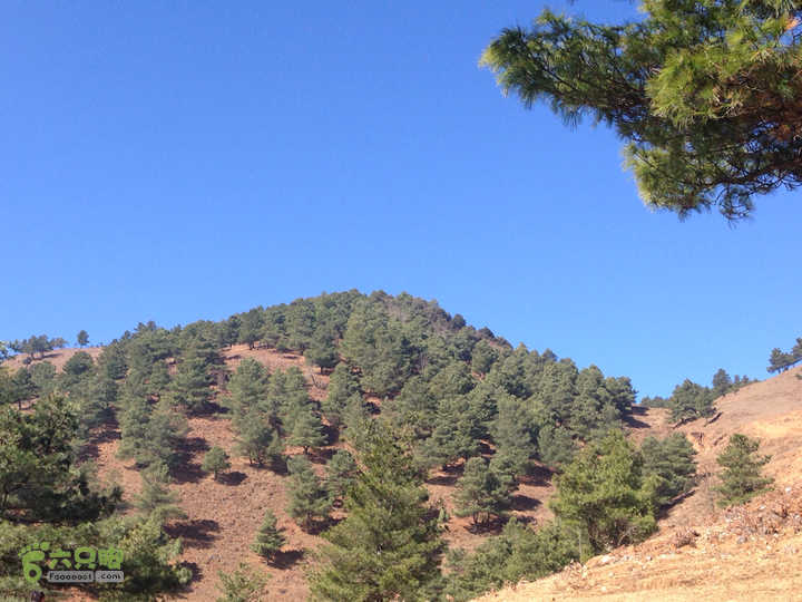 金铜盆山之行2014-01-25 11:37:44