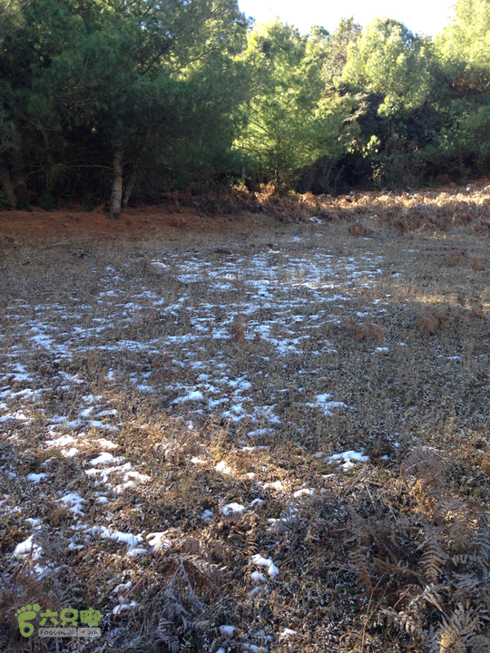 金铜盆山之行2014-01-25 11:57:38