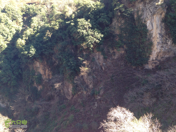 金铜盆山之行2014-01-25 15:32:12