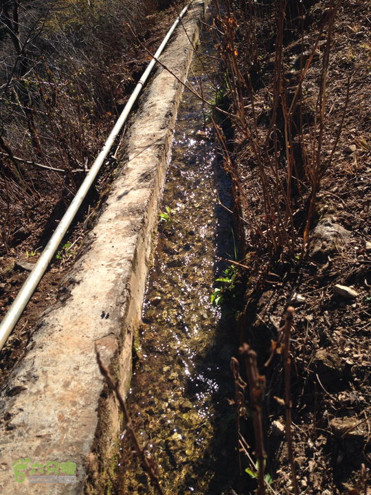 金铜盆山之行2014-01-25 15:37:33