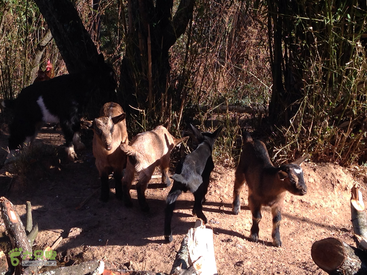 金铜盆山之行2014-01-25 16:27:00