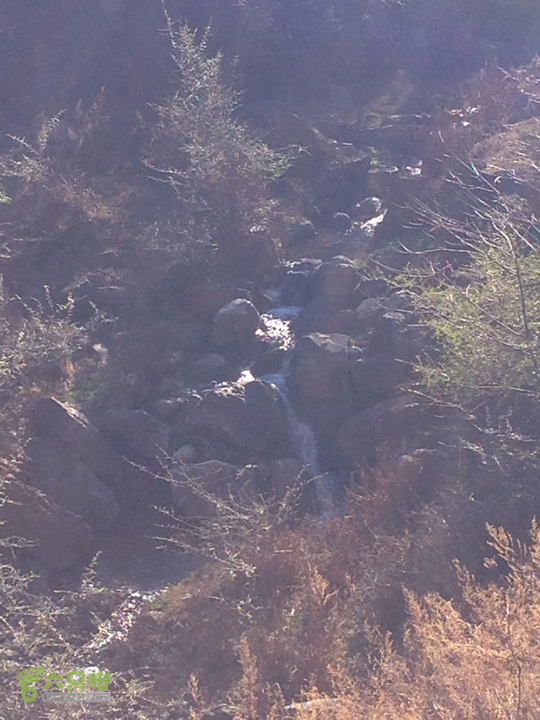 金铜盆山之行2014-01-25 16:40:54