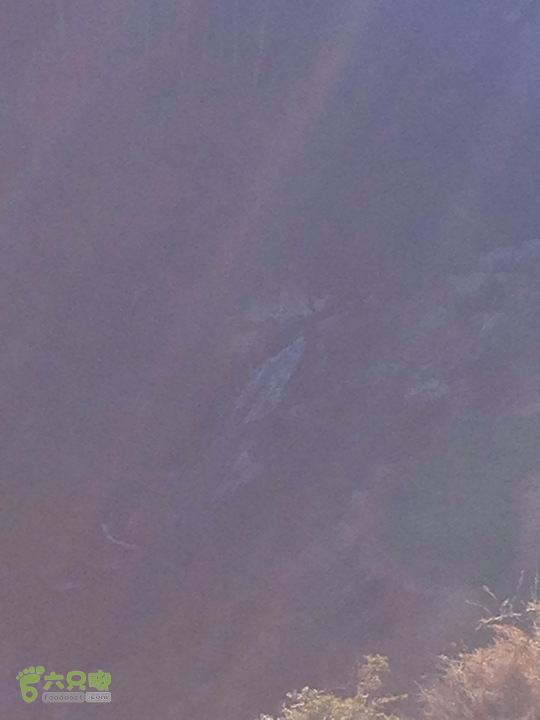 金铜盆山之行2014-01-25 16:48:10