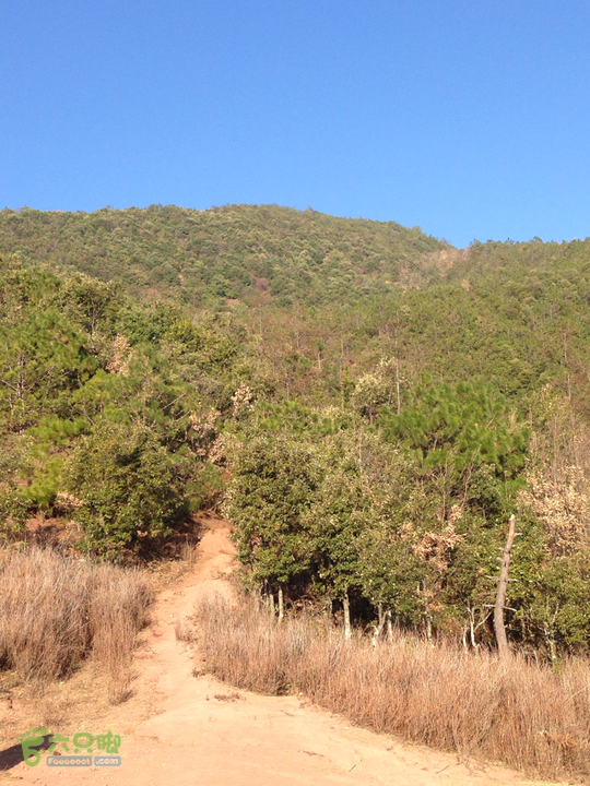 金铜盆山之行2014-01-25 09:29:29