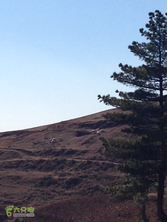 金铜盆山之行2014-01-25 14:25:14