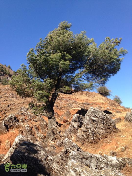 金铜盆山之行2014-01-25 14:40:38