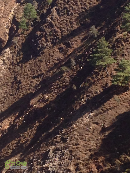 金铜盆山之行2014-01-25 14:50:39