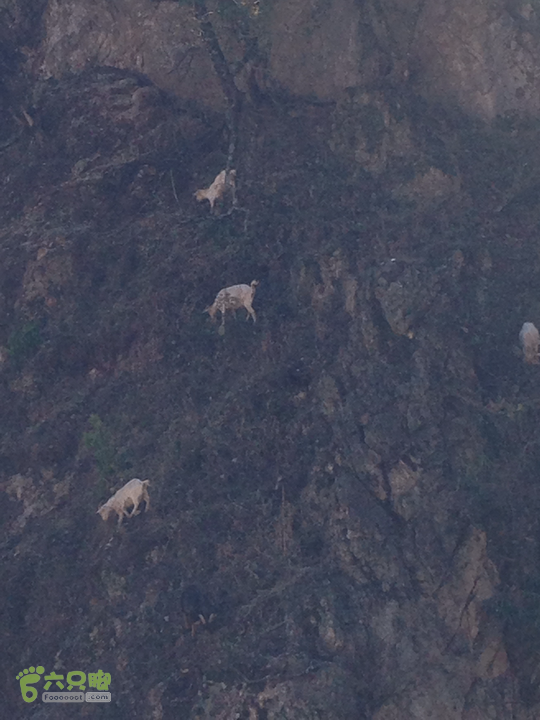 金铜盆山之行2014-01-25 15:02:49