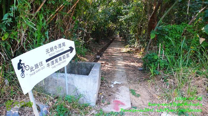 2014 02 03 元朗、落馬洲邊界、上水、粉嶺P1610041