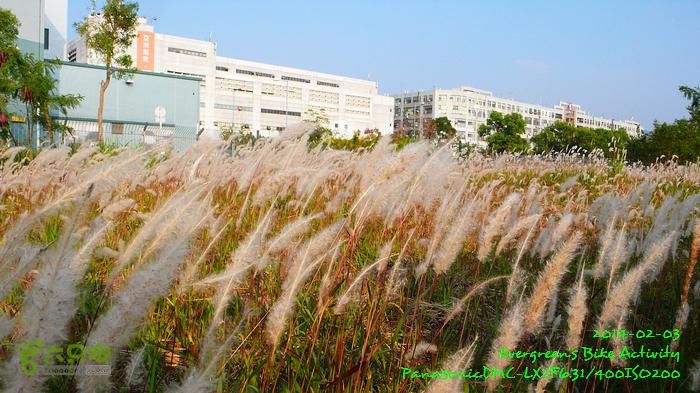 2014 02 03 元朗、落馬洲邊界、上水、粉嶺P1610076