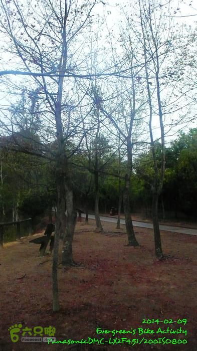 2014 02 08-09 麥理浩徑P1610221