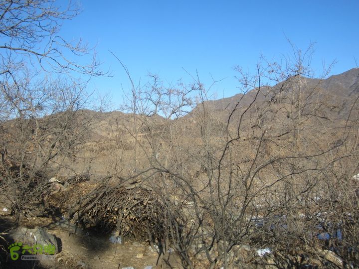 凤凰岭-石门沟-小风口-漆园-王峪沟IMG_6152