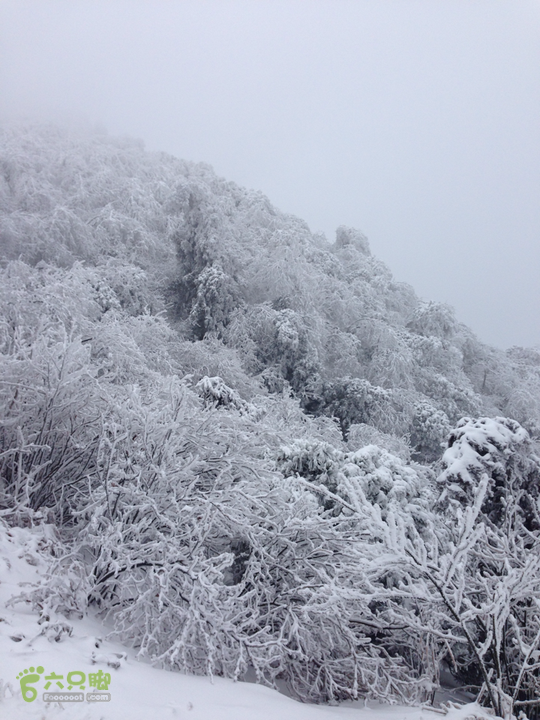 南岳最美雾凇线路2014-02-12 12:25:45