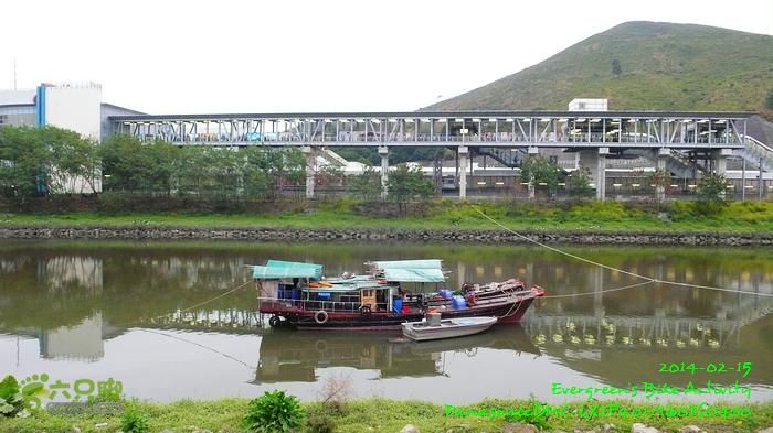 2014 02 15 元朗、落馬洲邊界、粉嶺、大埔P1610250