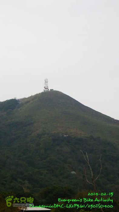 2014 02 15 元朗、落馬洲邊界、粉嶺、大埔P1610256