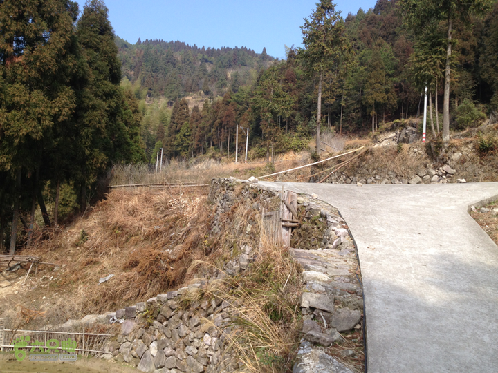 温州泽雅东山峡谷上，经龙娘山，至西山下朱坪村内的小路