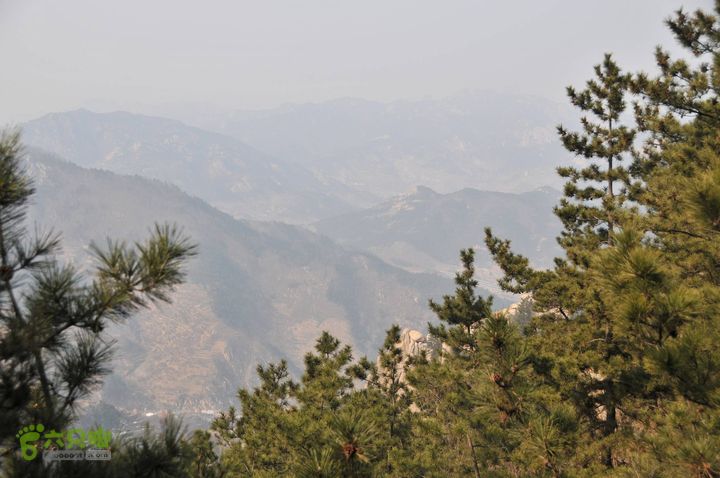 北头村-张家村-躲荒崮-青峰顶-柳树台DSC_8942_眸目压缩
