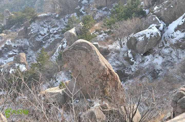 北头村-张家村-躲荒崮-青峰顶-柳树台DSC_8961_眸目压缩